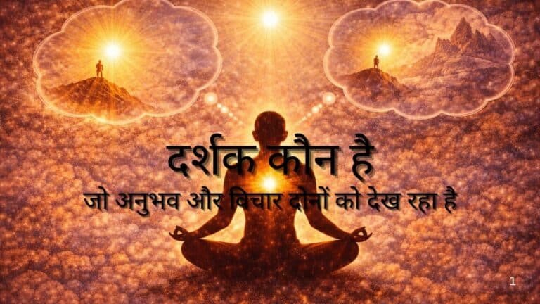 दर्शक कौन है
