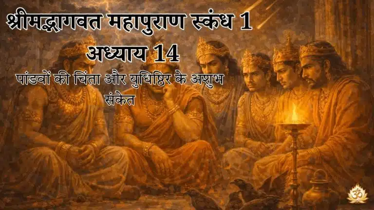 श्रीमद्भागवत महापुराण स्कंध 1 अध्याय 14: पांडवों की चिंता और युधिष्ठिर के अशुभ संकेत